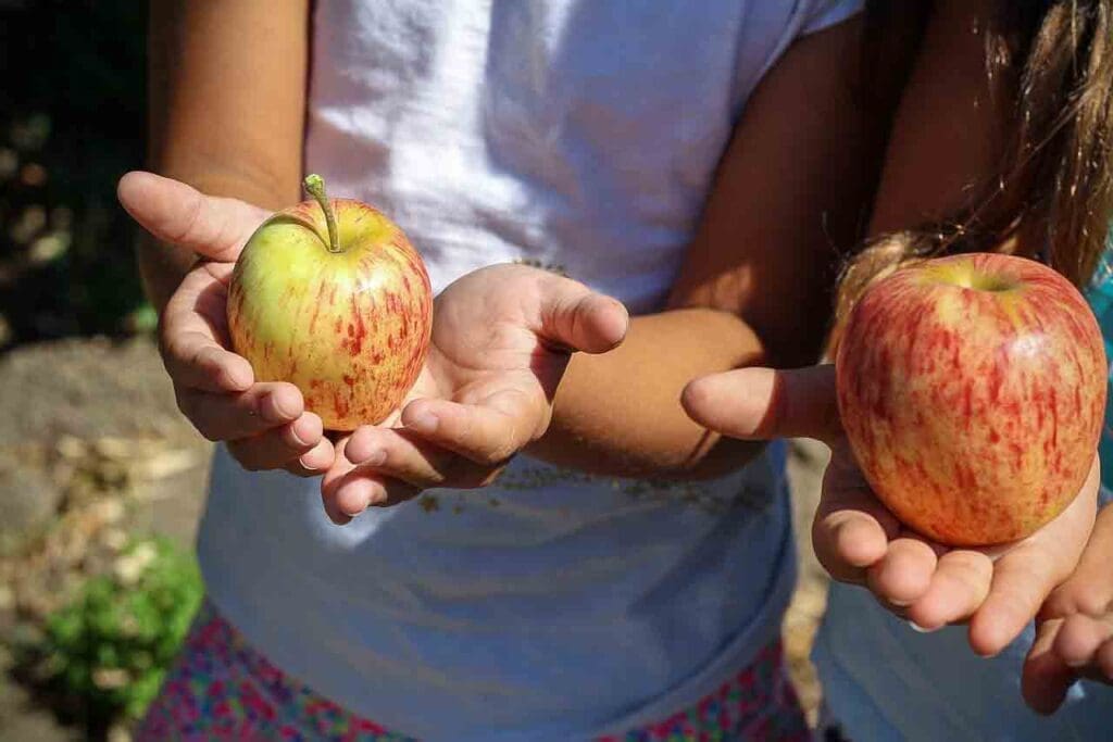 kids-healthy-apple